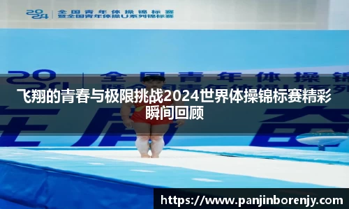 飞翔的青春与极限挑战2024世界体操锦标赛精彩瞬间回顾